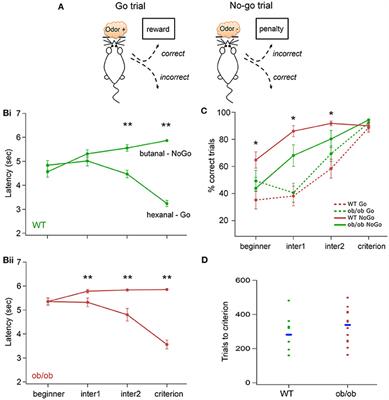 Odor-Induced Neuronal Rhythms in the Olfactory Bulb Are Profoundly Modified in ob/ob Obese Mice